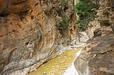 Imbros Gorge Hiking Day Trip with transportation - The Gorge Walk Through Limestone Country (8 km, Rocky, and Worth It)