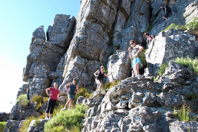 India Venster Route: Hiking in Table Mountain from Cape Town - How the Guide Keeps It Safe Without Killing the Adventure