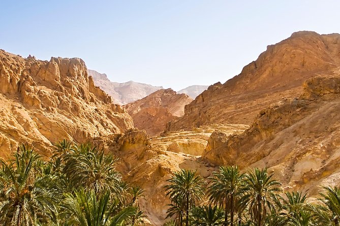 Indian Canyons Hiking Tour by Jeep from Palm Springs - Why the small-group Jeep format feels different in Palm Springs