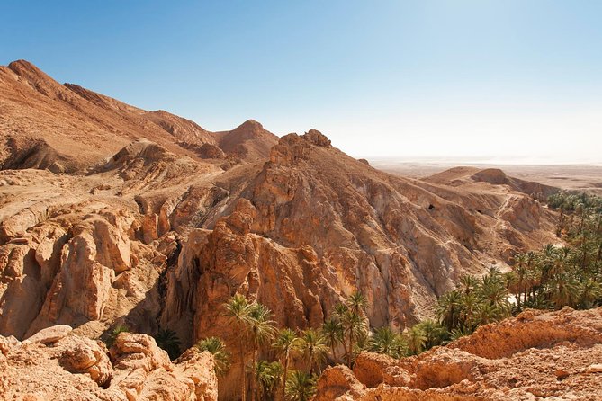 Indian Canyons Hiking Tour by Jeep from Palm Springs - Cahuilla culture in real desert terms (not just facts)
