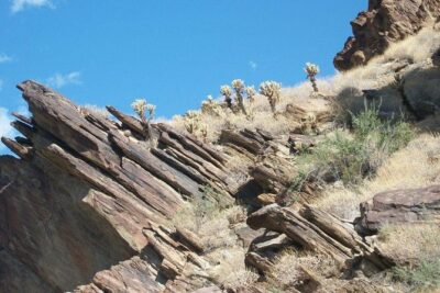 Indian Canyons Hiking Tour by Jeep from Palm Springs - From 100 S Palm Canyon Dr to Big Red Jeep canyon roads