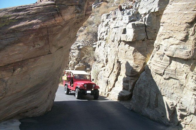 Indian Canyons Hiking Tour by Jeep from Palm Springs - What to wear and how to plan your day (desert rules apply)
