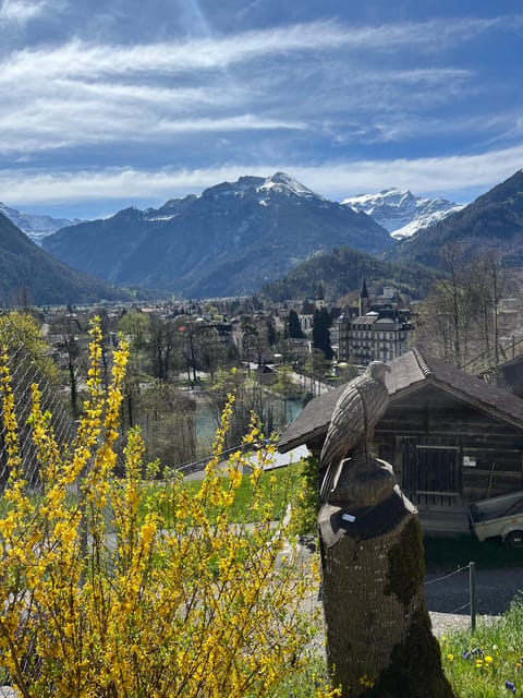 Interlaken: Guided Hike to Harder Kulm with Swiss Triathlete - Should you book this Harder Kulm guided hike?