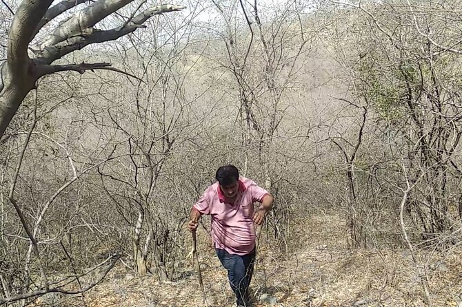 Jaipur Trekking and Hiking Tour with Guide - The group size (20 hikers) and what that means for you