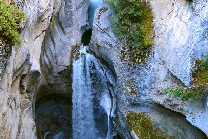 Jasper Wildlife and Sightseeing Tour with Maligne Lake Hike - A 6-Hour Circuit Through Jasper’s Maligne Valley
