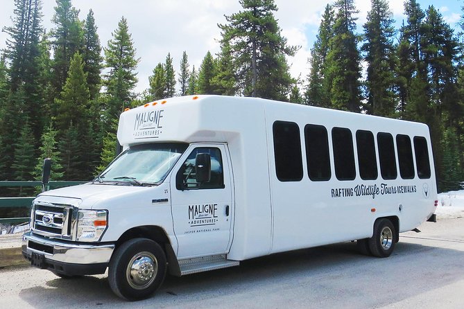 Jasper Wildlife and Sightseeing Tour with Maligne Lake Hike - Wildlife Spotting Without Guarantees (So You Don’t Get Burned)
