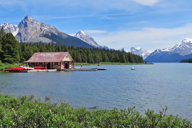 Jasper Wildlife and Sightseeing Tour with Maligne Lake Hike - The Guide and Minibus Style That Makes This Tour Work