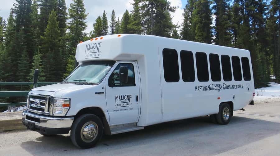Jasper: Wildlife and Waterfalls Tour with Lakeshore Hike - Maligne Valley in a single, well-paced day