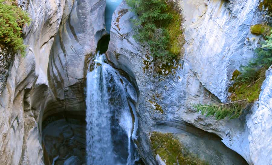 Jasper: Wildlife and Waterfalls Tour with Lakeshore Hike - Minibus comfort and pickup: plan for a head start
