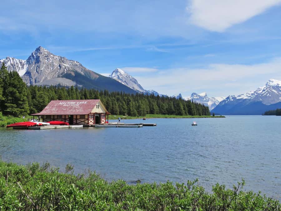Jasper: Wildlife and Waterfalls Tour with Lakeshore Hike - Free time at Maligne Lake Day Lodge (then back to Jasper)