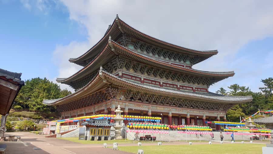 Jeju: Mt. Hallasan Hike and UNESCO Sites Day Tour - When weather shuts down roads: how the tour keeps the day alive