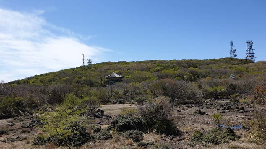 Jeju: Mt. Hallasan Hike and UNESCO Sites Day Tour - Seogwi Dawon tea farm and tea time: pure green tea plus yellow tea