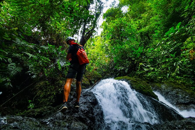 Jungle Hike with Canyoning and Rappelling in Drake Bay - Key Things You’ll Notice on This Drake Bay Jungle Rappel