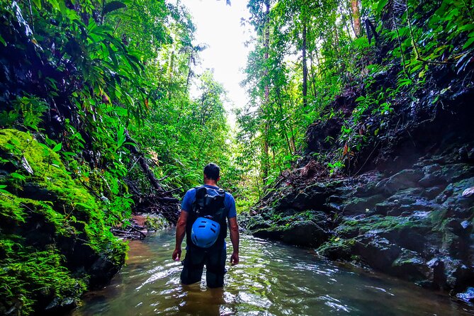 Jungle Hike with Canyoning and Rappelling in Drake Bay - Getting Into Corcovado from Drake Bay (4x4 to the rainforest)