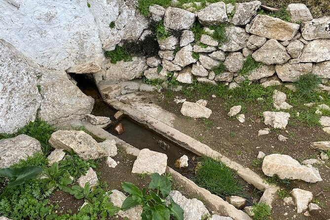 Karpathos Lastos mountain Hike with guide - Safety on rocky bits: no fear-free path, but real support