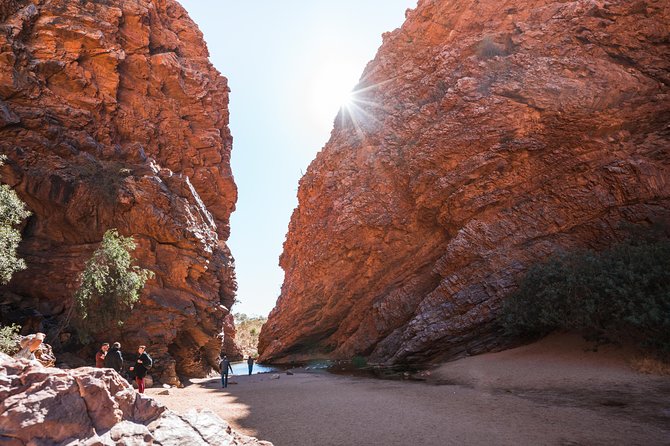 Kata Tjuta Valley of the Winds Circuit Hike - Price and value: what $178.59 covers (and what it doesn’t)