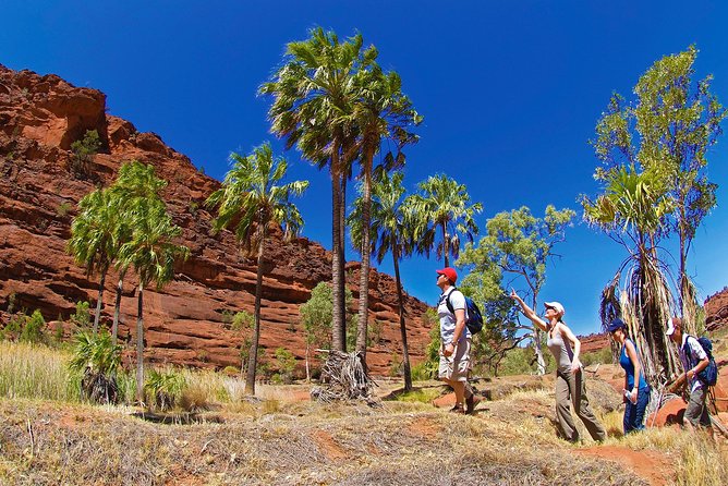 Kata Tjuta Valley of the Winds Circuit Hike - Who this hike is best for (and who should think twice)
