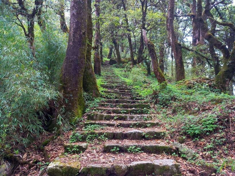 Kathmandu: Shivapuri Day Hike with Lunch - The scenic stop and what to notice on the way