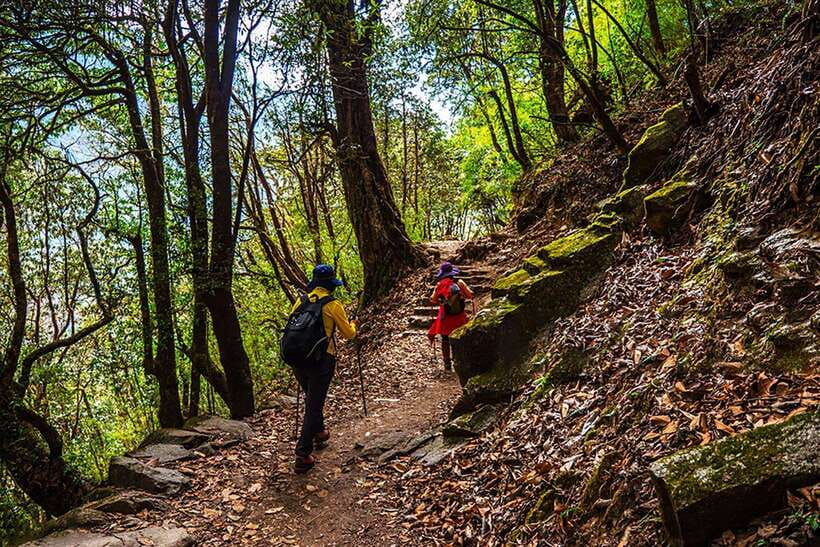 Kathmandu: Shivapuri Day Hike with Lunch - Summit payoff: Kathmandu Valley from above, and Himalayan views when clear