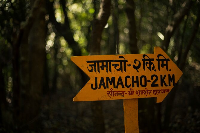 Kathmandu Shivapuri National Park and Nagarkot Hiking - 3 Days - Day 1: From Temple Stops Toward Shivapuri’s Green Hills and Views