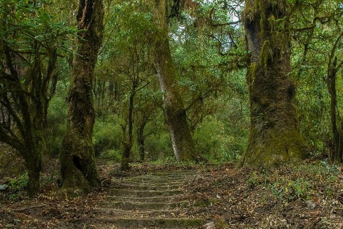 Kathmandu Shivapuri National Park and Nagarkot Hiking - 3 Days - The Kathmandu Start: Pickup, Timing, and Your First Real Direction