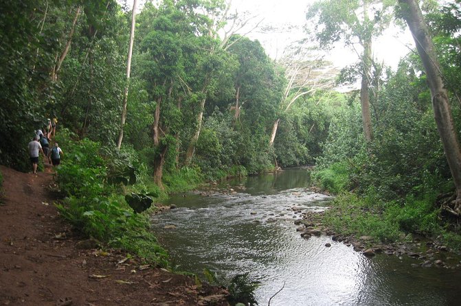 Kauai Adventure: Kayak & Hike to Secret Falls with Expert Guide - The Wailua River kayaking part: why this feels more than a scenic cruise