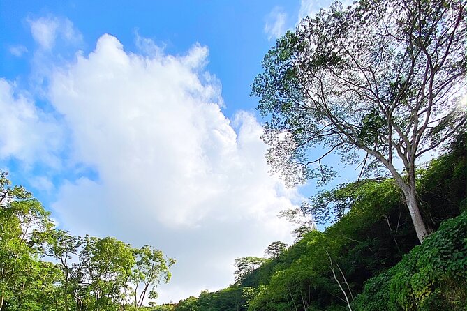 Kauai Adventure: Kayak & Hike to Secret Falls with Expert Guide - What you get included (and what you need to bring yourself)