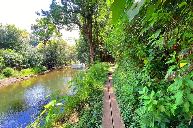 Kauai Adventure: Kayak & Hike to Secret Falls with Expert Guide - Price and value: when $140 feels fair