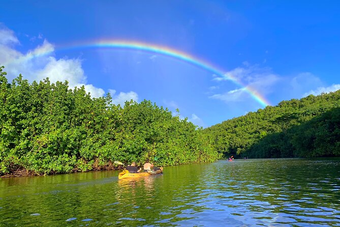 Kauai Adventure: Kayak & Hike to Secret Falls with Expert Guide - Who should book this tour (and who should skip it)