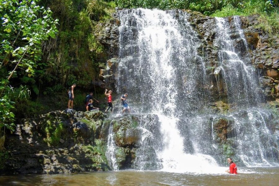 Kauai: Guided Hike and Waterfall Swim - What makes this waterfall hike feel different on Kauai