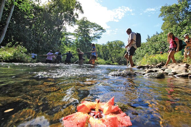 Kauai: Secret Falls Kayak and Hike - Why This Secret Falls Kayak + Hike Combo Works