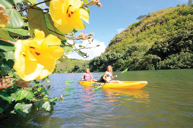 Kauai: Secret Falls Kayak and Hike - The Rainforest Hike to Uluwehi Falls: Mud, Slippery Spots, and Watercrossings