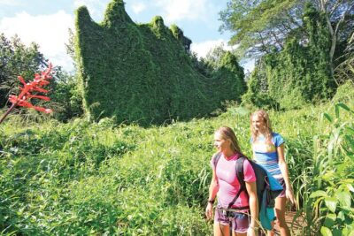 Kauai: Secret Falls Kayak and Hike - Paddling the Wailua River: The 4-Mile Reality Check