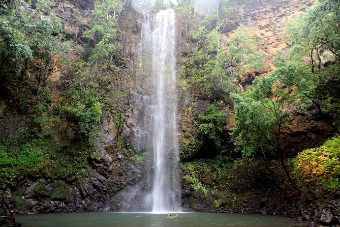 Kauai: Secret Falls Kayak and Hike - Fitness and Safety: Who Should (and Shouldn’t) Book