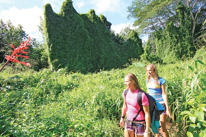 Kauai: Secret Falls Kayak and Hike - Paddling the Wailua River: The 4-Mile Reality Check