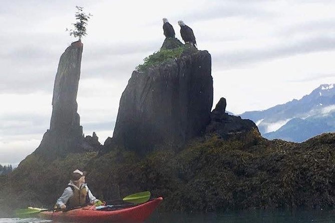 Kayak and Hike to Historic WW2 Army Fort in Alaska! - Driftwood Ghost Forests: The 1964 Earthquake You Can Paddle Past