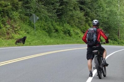 Ketchikan Electric Bike and Rain Forest Hike Ecotour - Where the day’s rhythm really comes from