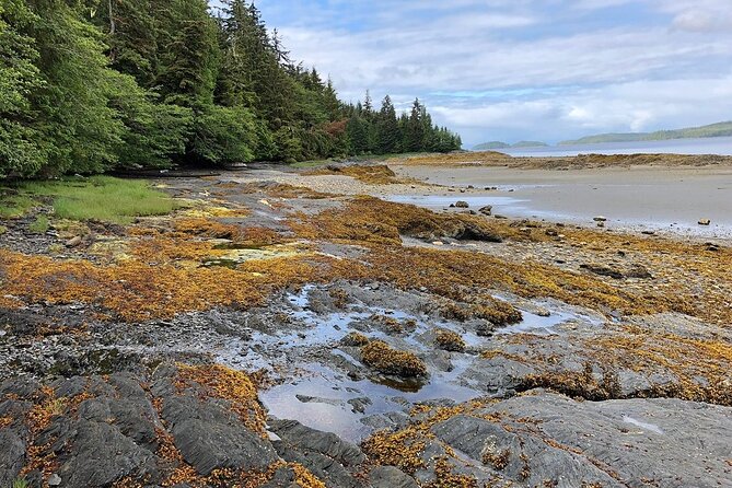 Ketchikan Electric Bike and Rain Forest Hike Ecotour - Pickup locations and timing: avoid the common confusion