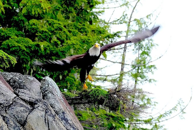 Ketchikan Electric Bike and Rain Forest Hike Ecotour - Value check: is $161 per person a smart buy?