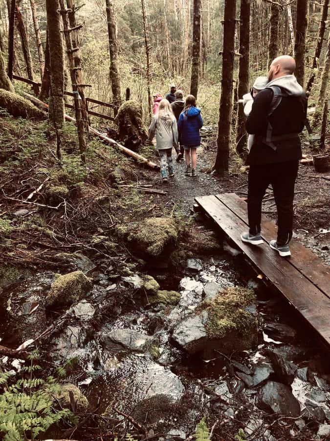 Ketchikan: Tongass Forest Alaska Bigfoot ATV Ride and Hike - From Cruise Port to Rain Forest Base Camp