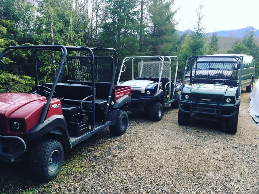 Ketchikan: Tongass Forest Alaska Bigfoot ATV Ride and Hike - ATV Ride in the UTVs: Quick, Fun, and Purposeful