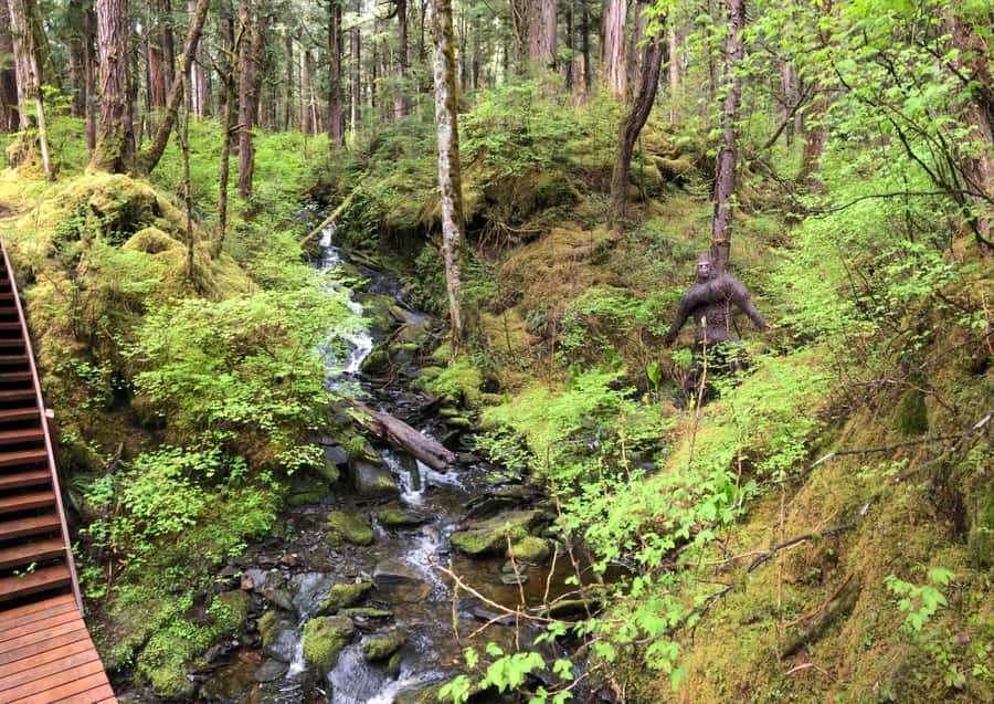 Ketchikan: Tongass Forest Alaska Bigfoot ATV Ride and Hike - Bigfoot Stomping Grounds: Stories, Signs, and the Replica Moment