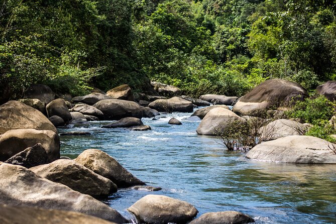 Khao Sok Rainforest | Hiking & Bamboo Rafting - Jungle coffee and the viewpoint finish