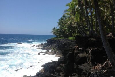 Kilauea Summit to Shore from Kona: Small Group - Riding Saddle Road: microclimates you can actually feel