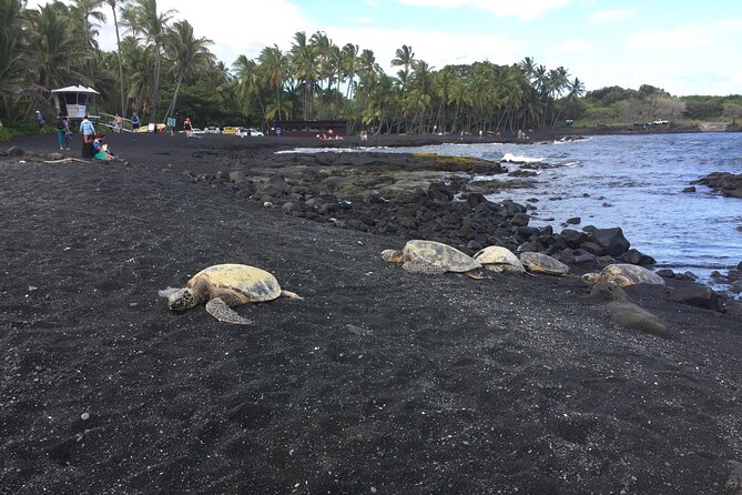 Kilauea Summit to Shore from Kona: Small Group - Why Scott’s guiding style matters more than the checklist