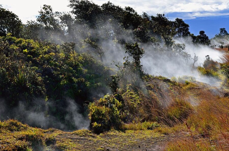 Kilauea: Volcanoes National Park Guided Hike - The guide factor: why some days feel magical