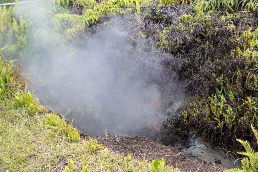 Kilauea: Volcanoes National Park Guided Hike - The loop around hardened lava: reading the ground under you