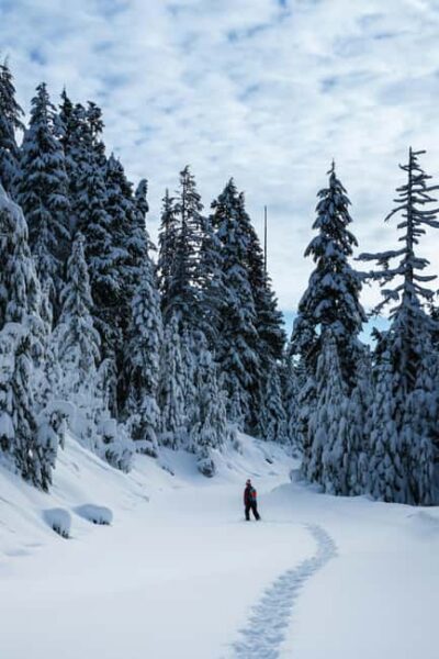 Kiruna: Daytime Snowshoe Hike - From your hotel to the woods: Pickup times and how the van run feels
