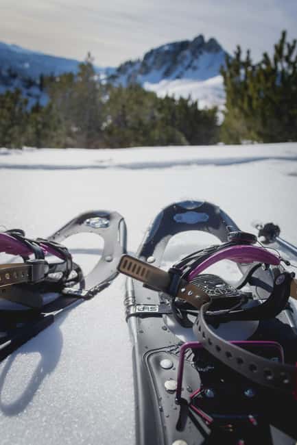 Kiruna: Daytime Snowshoe Hike - What to wear and bring so the cold doesn’t ruin the fun