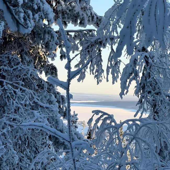 Kiruna: Daytime Snowshoe Hike - Should you book? My decision guide